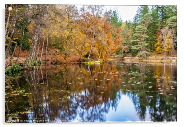 Autumn colours on Loch Dunmore, Faskally Forest Acrylic by Angus McComiskey
