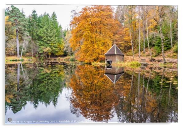 Autumn reflections on Loch Dunmore Acrylic by Angus McComiskey