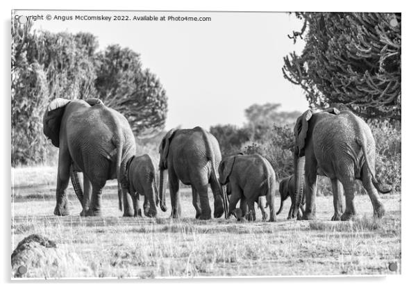 Elephant family disappearing into bush Uganda mono Acrylic by Angus McComiskey