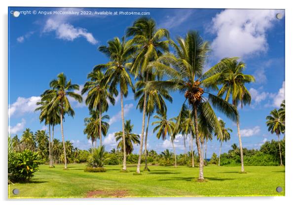 Palm trees in Kahanu Garden on Maui Island, Hawaii Acrylic by Angus McComiskey