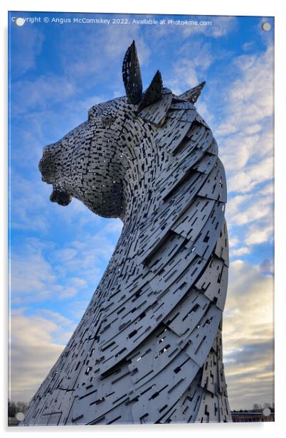 Kelpie standing proud Acrylic by Angus McComiskey