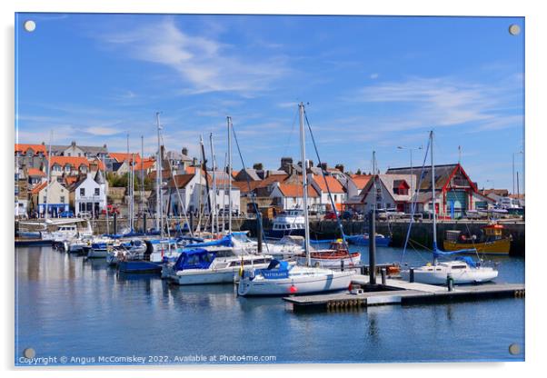 Boats moored in Anstruther marina, Fife Acrylic by Angus McComiskey
