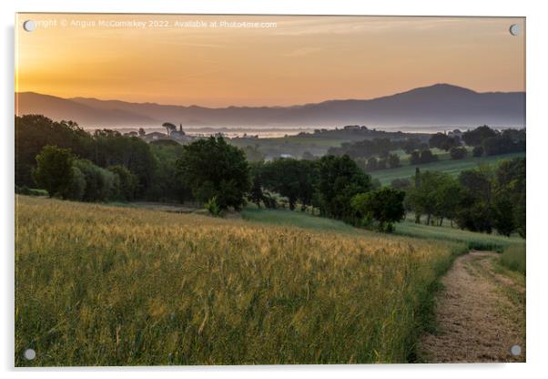 Tuscan dawn Acrylic by Angus McComiskey
