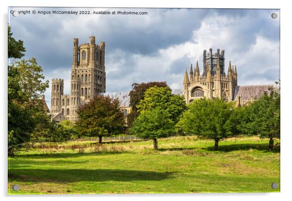 Ely Cathedral from Cherry Hill Park Acrylic by Angus McComiskey