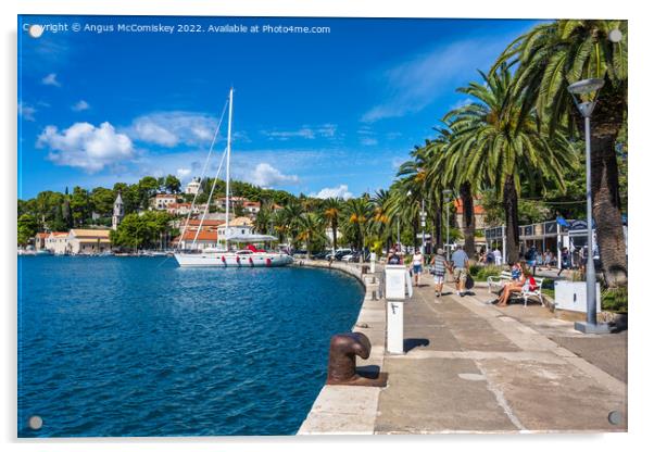 Palm-lined promenade at Cavtat in Croatia Acrylic by Angus McComiskey