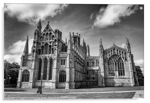 East elevation of Ely Cathedral mono Acrylic by Angus McComiskey