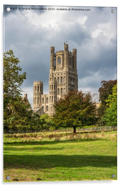 Ely Cathedral from Cherry Hill Park Acrylic by Angus McComiskey