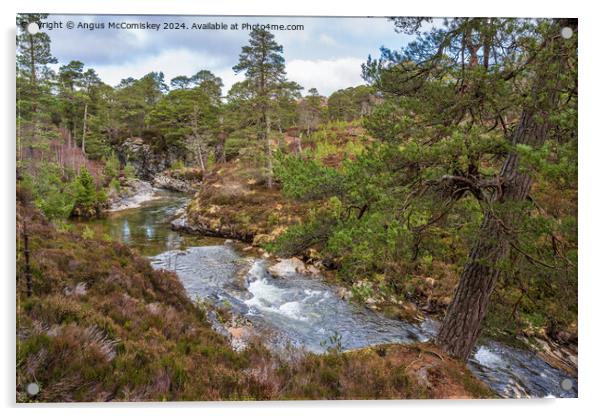 River Lui near Braemar in Royal Deeside Scotland Acrylic by Angus McComiskey