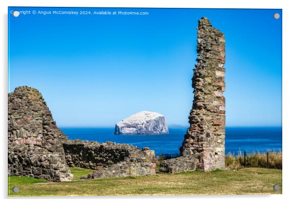 The Bass Rock from Tantallon Castle, East Lothian Acrylic by Angus McComiskey