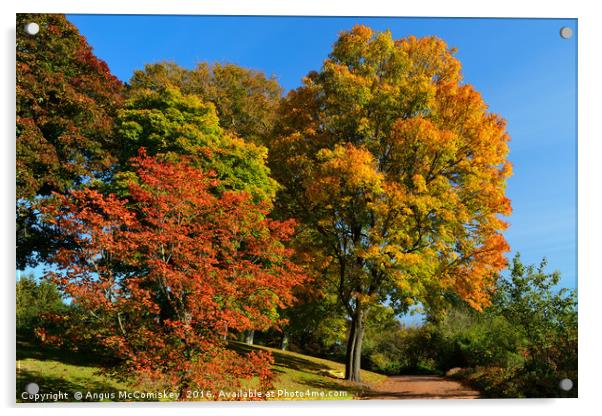 A walk into autumn Acrylic by Angus McComiskey