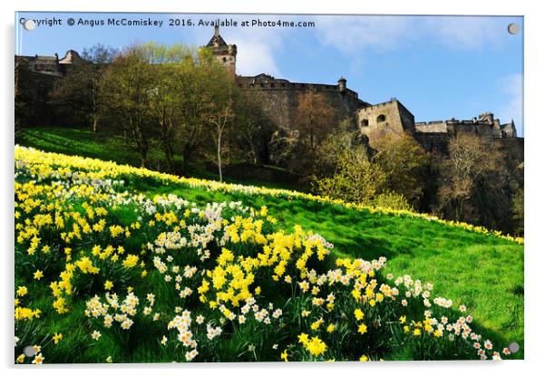 Edinburgh Castle embankment daffodils Acrylic by Angus McComiskey