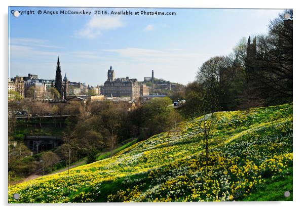 Spring flowers in Princes Street Gardens Acrylic by Angus McComiskey