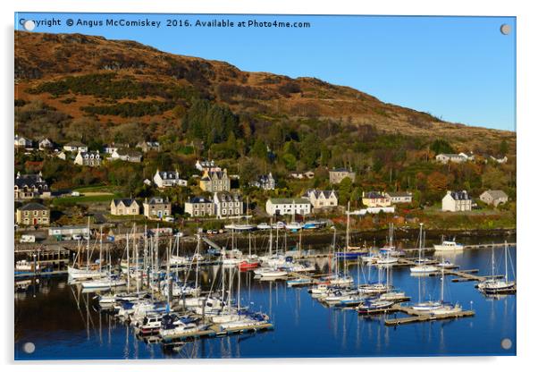 Tarbert marina on Loch Fyne Acrylic by Angus McComiskey