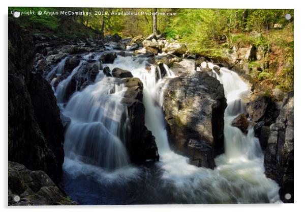 Black Linn Waterfall in spring Acrylic by Angus McComiskey