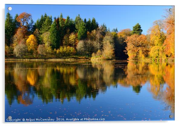 Penicuik Pond autumn colours Acrylic by Angus McComiskey