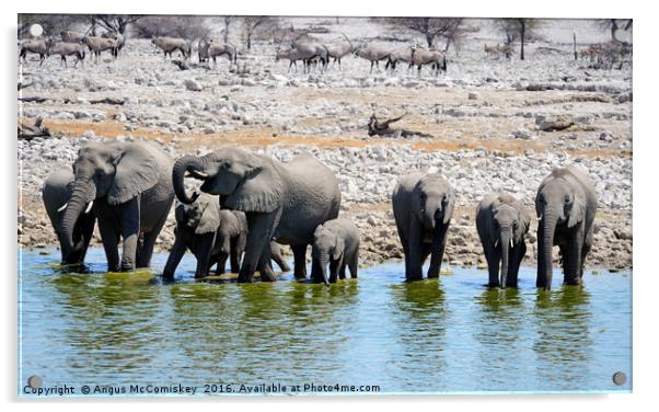 Elephants drinking at the waterhole Acrylic by Angus McComiskey