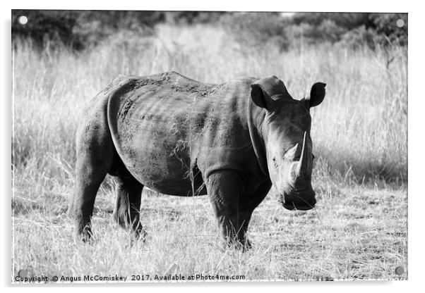 White rhino in bush (mono) Acrylic by Angus McComiskey