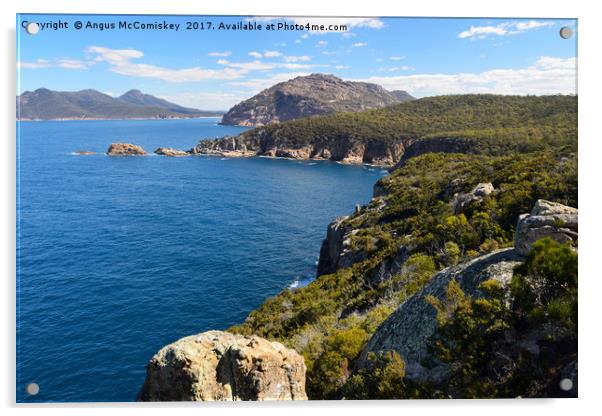 Cape Tourville looking towards Wineglass Bay Acrylic by Angus McComiskey