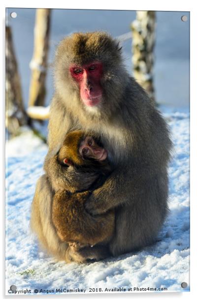 Japanese macaque (snow monkey) with young Acrylic by Angus McComiskey