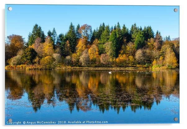Autumn reflections on Penicuik High Pond Acrylic by Angus McComiskey