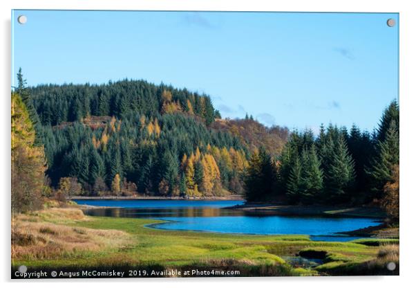 Autumn colours, Loch Drunkie, Trossachs Acrylic by Angus McComiskey