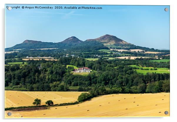 Eildon Hills, Scottish Borders Acrylic by Angus McComiskey