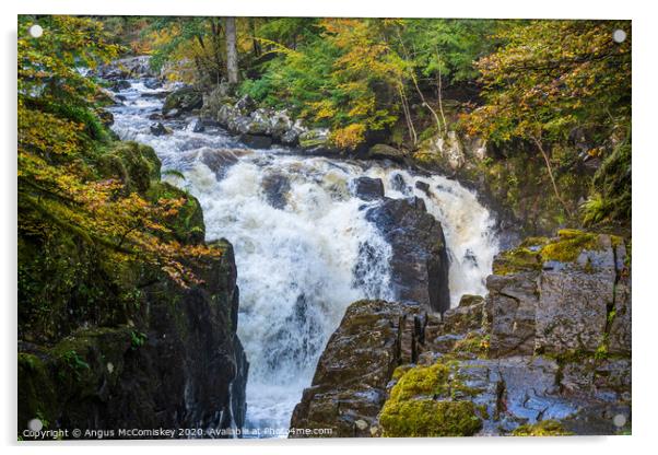 Black Linn Waterfall in autumn  Acrylic by Angus McComiskey