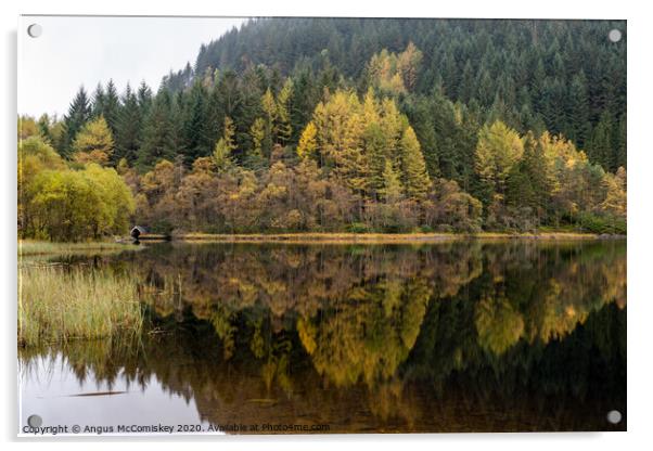 Loch Chon in autumn Acrylic by Angus McComiskey