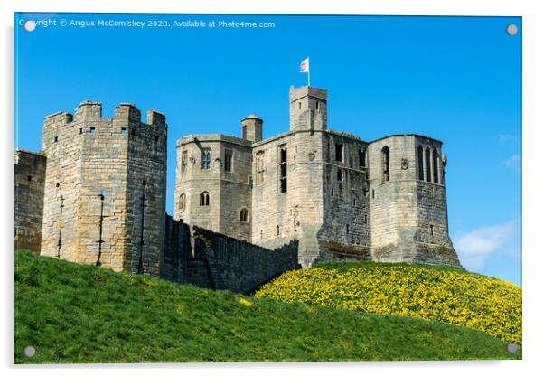 Warkworth Castle springtime Acrylic by Angus McComiskey