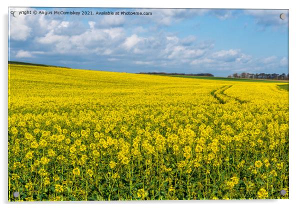 Yellow rapeseed field Northumberland Acrylic by Angus McComiskey