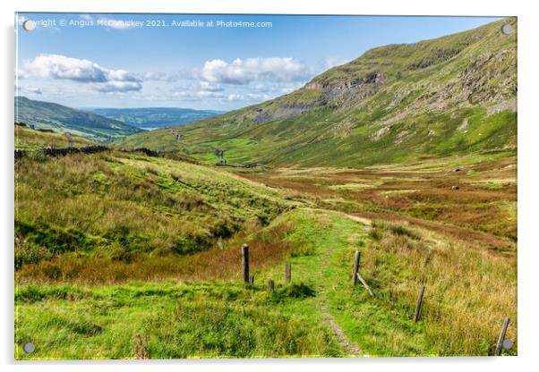 Kirkstone Pass footpath Acrylic by Angus McComiskey