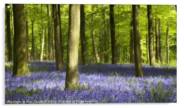 Bluebell Wood Watercolour Acrylic by Alan Crawford