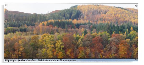 Autumn Colours, Perthshire Acrylic by Alan Crawford