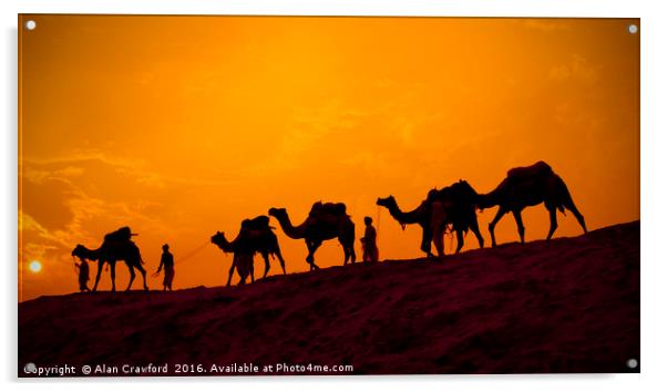 Camels and minders in silhouette, India Acrylic by Alan Crawford