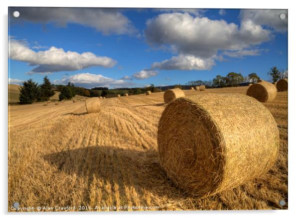 Make Hay While the Sun Shines Acrylic by Alan Crawford