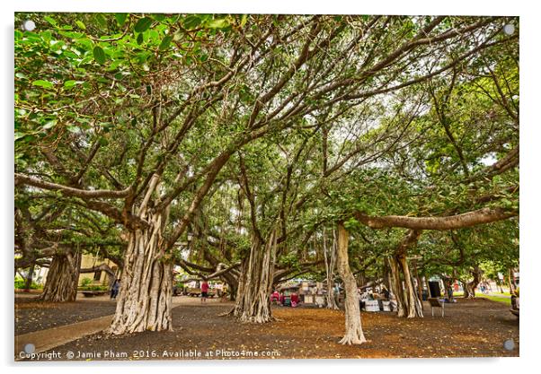 Banyan Tree Park in Maui, Hawaii. Acrylic by Jamie Pham