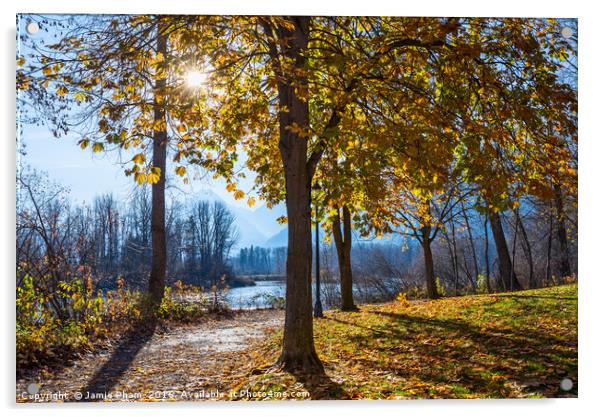 Fall foliage in Leavenworth Waterfront Park in Was Acrylic by Jamie Pham