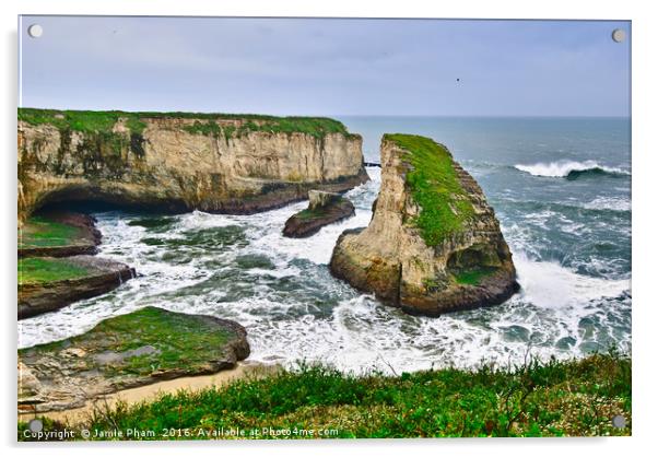 Dramatic view of Shark Fin Cove Acrylic by Jamie Pham