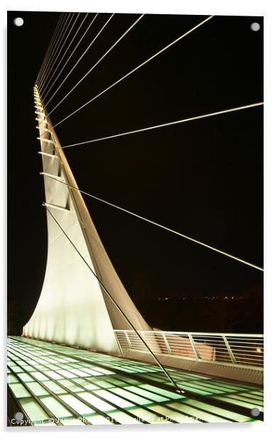 The unique and beautiful Sundial Bridge in Redding Acrylic by Jamie Pham