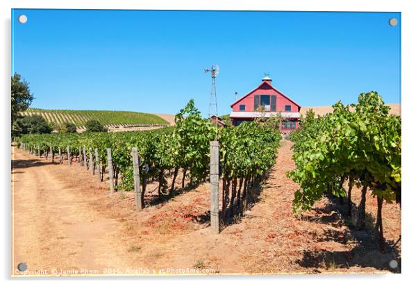 Beautiful view of wine vineyards in Napa Valley. Acrylic by Jamie Pham