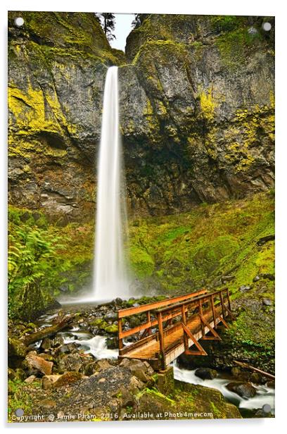 Scenic Elowah Falls in the Columbia River Gorge Acrylic by Jamie Pham