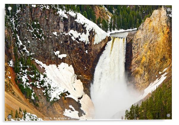 Closer view of Yellowstone Falls from Lookout Poin Acrylic by Jamie Pham