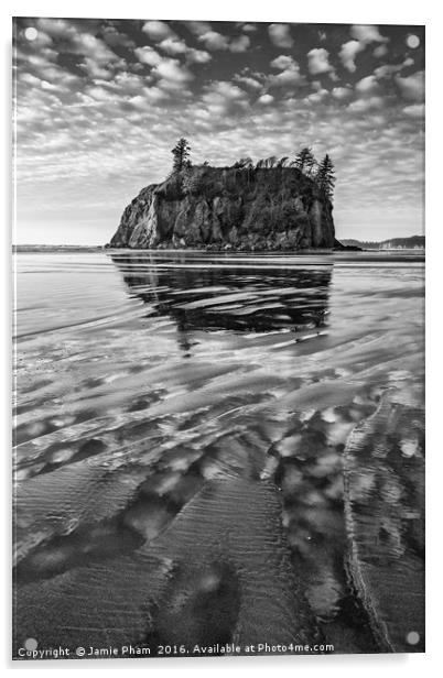 Second Beach in Olympic National Park located in W Acrylic by Jamie Pham