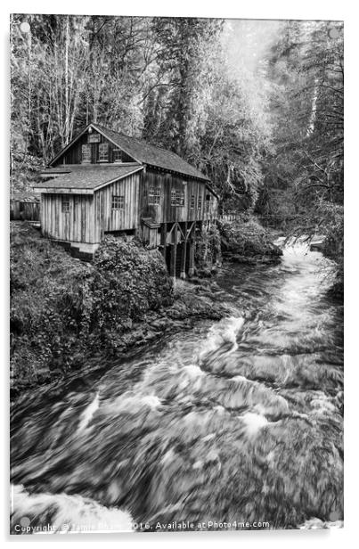 The Cedar Creek Grist Mill in Washington State. Acrylic by Jamie Pham