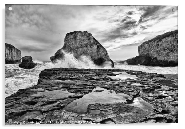 Dramatic view of Shark Fin Cove Acrylic by Jamie Pham