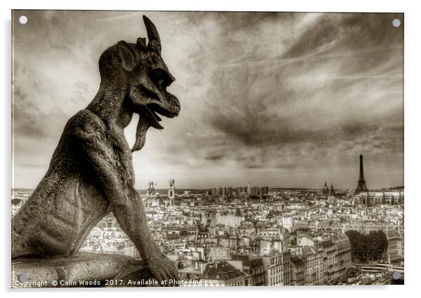 Paris City View from Notre Dame de Paris Acrylic by Colin Woods
