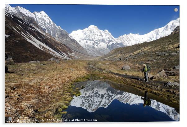 The Annapurna Sanctuary Acrylic by Colin Woods