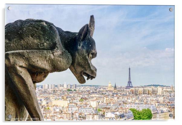 Paris from the Notre Dame de Paris tower Acrylic by Colin Woods