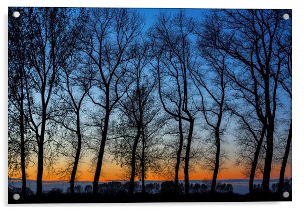 Silhouetted Trees at Sunset Acrylic by Arterra 