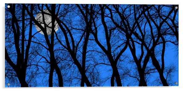 Spooky Trees at Full Moon Acrylic by Arterra 